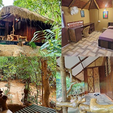 Koomankolly Resort Thirunelly Eksteriør billede