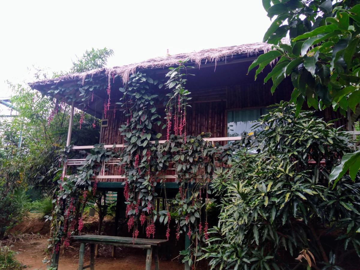 Koomankolly Resort Thirunelly Eksteriør billede