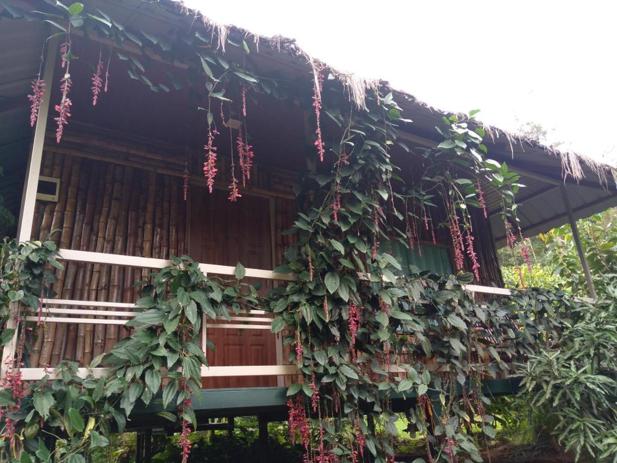 Koomankolly Resort Thirunelly Eksteriør billede