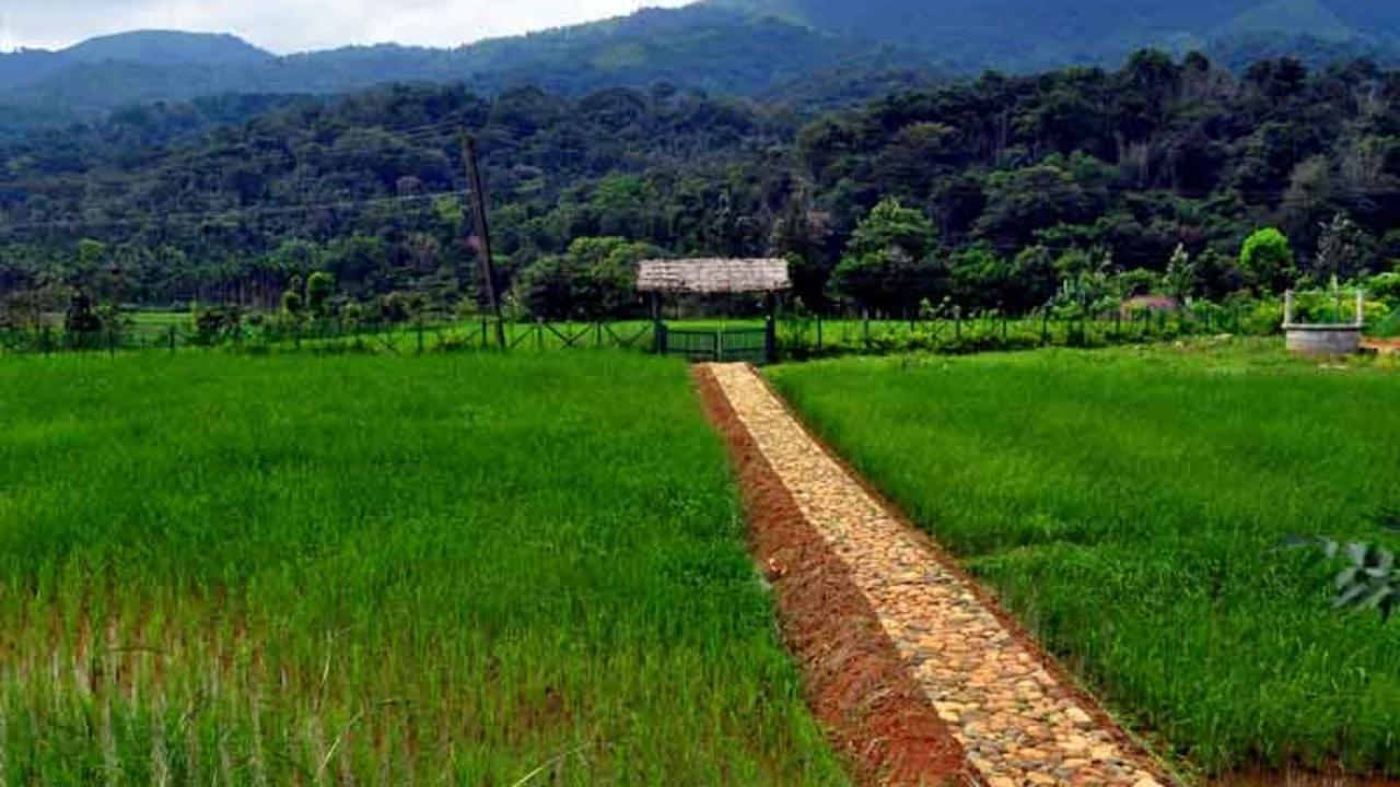 Koomankolly Resort Thirunelly Eksteriør billede
